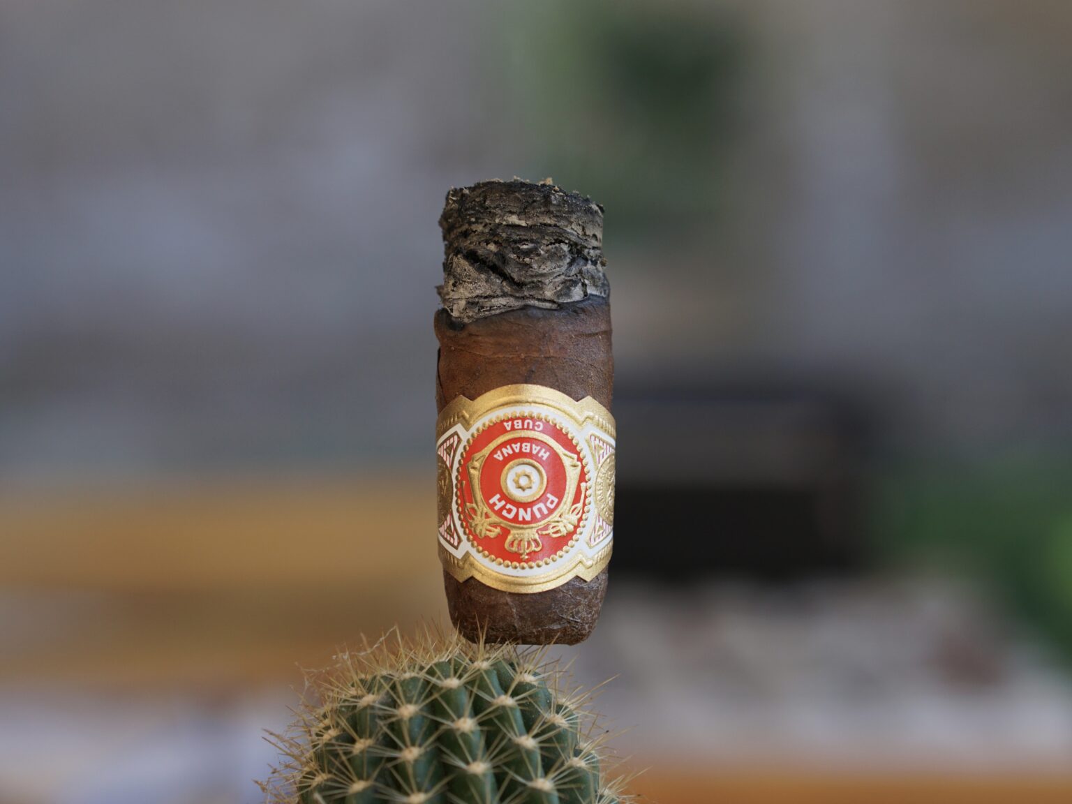 Cuban Cigar Review Punch Short de Punch Simply Stogies